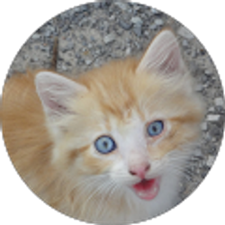 Profile photo of Abbigayle Jones