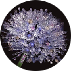 Profile photo of Marti L