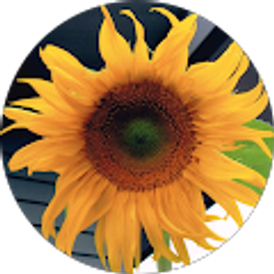 Profile photo of Jasmine Baleva