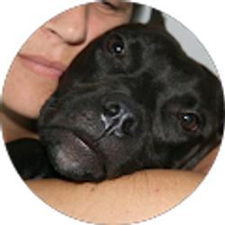 Profile photo of Renata K