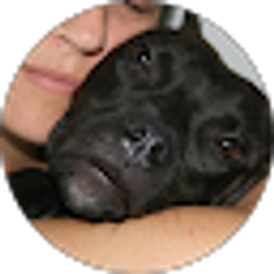 Profile photo of Renata K