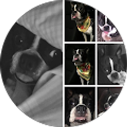 Profile photo of Shannon Massey