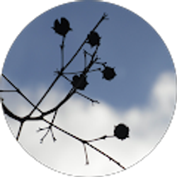 Profile photo of Victoria Thomas