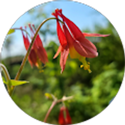 Profile photo of Jenny T