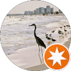 Profile photo of Ken M