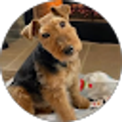 Profile photo of Toni Smith