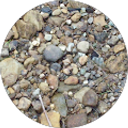 Profile photo of Tammy Davis