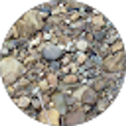 Profile photo of Tammy Davis