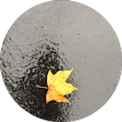 Profile photo of Destiny Murdock