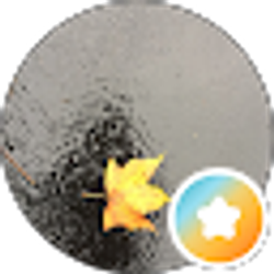 Profile photo of Destiny Murdock