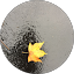 Profile photo of Destiny Murdock