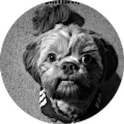 Profile photo of Tracy Glover