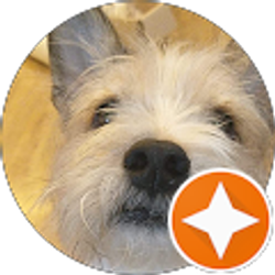 Profile photo of ted hahn