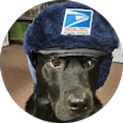 Profile photo of Todd Dubasik