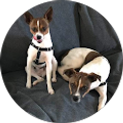 Profile photo of Julia M