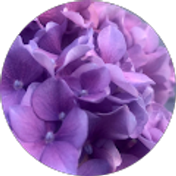 Profile photo of Eudora Fraczek