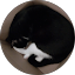 Profile photo of Tara T