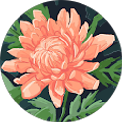 Profile photo of Alli W