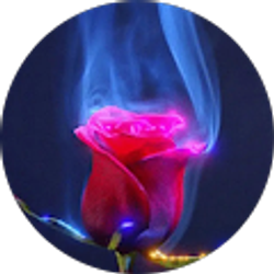 Profile photo of STK SUPREME