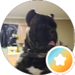 Profile photo of PV B