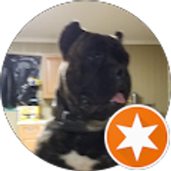 Profile photo of PV B