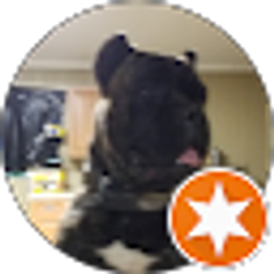 Profile photo of PV B