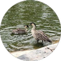 Profile photo of KYHI Outdoors