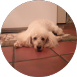 Profile photo of Maria Hoffman