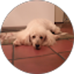 Profile photo of Maria Hoffman