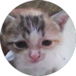 Profile photo of Deontae Clemons