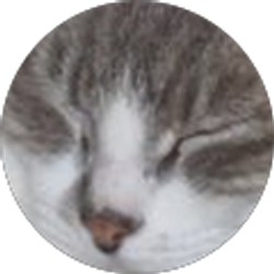 Profile photo of lisa campusano