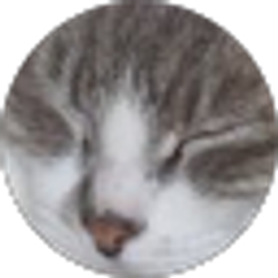 Profile photo of lisa campusano
