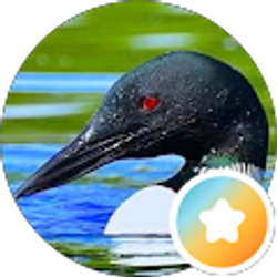 Profile photo of Glen Anderson