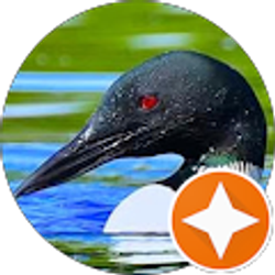 Profile photo of Glen Anderson