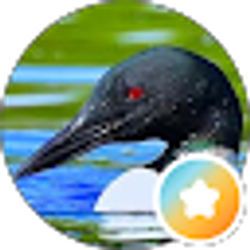 Profile photo of Glen Anderson