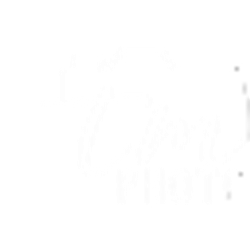 Profile photo of TM Photography