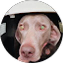 Profile photo of Tina Badgley