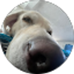 Profile photo of Aye_its_Austin