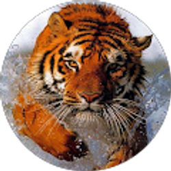 Profile photo of Robert Erntson