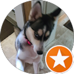 Profile photo of Pamela McConnell