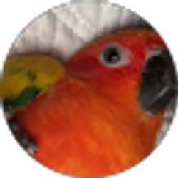 Profile photo of Kim Guzman