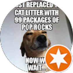 Profile photo of Sid Tanner