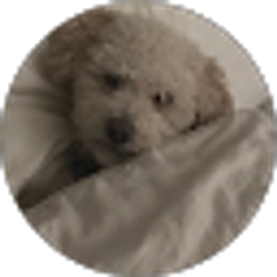 Profile photo of PearlCrystal