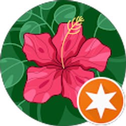 Profile photo of Carmen Garcia