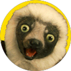 Profile photo of Berserk Krakken