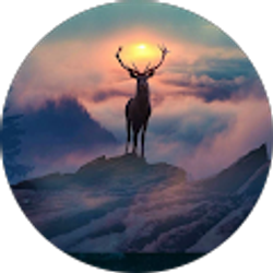 Profile photo of tom ton