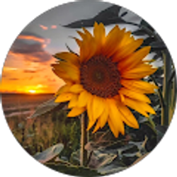 Profile photo of Bettynah Dely