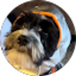 Profile photo of Jacob Zucker
