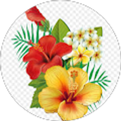 Profile photo of Marilyn Perreira