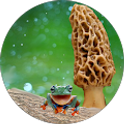 Profile photo of Francios Fraug